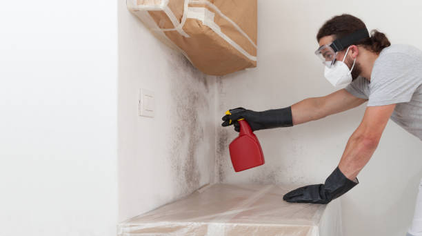 Professional Attic Mold Remediation technician working in Far Hills, NJ