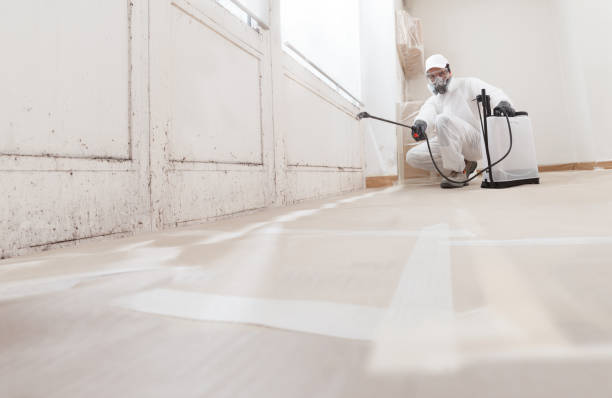 24/7 Emergency Attic Mold Remediation experts in Far Hills, NJ